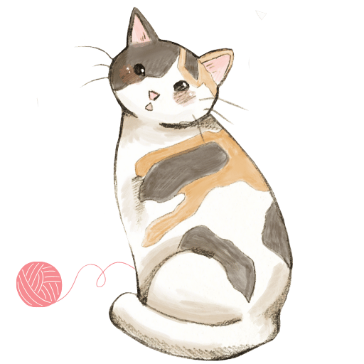 stambuł z Przewodnikiem