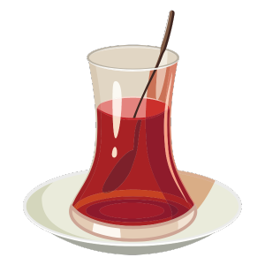 stambuł z Przewodnikiem