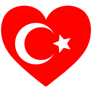 stambuł z Przewodnikiem